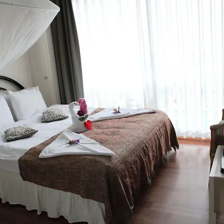 يورك ميز 3* سلجوك